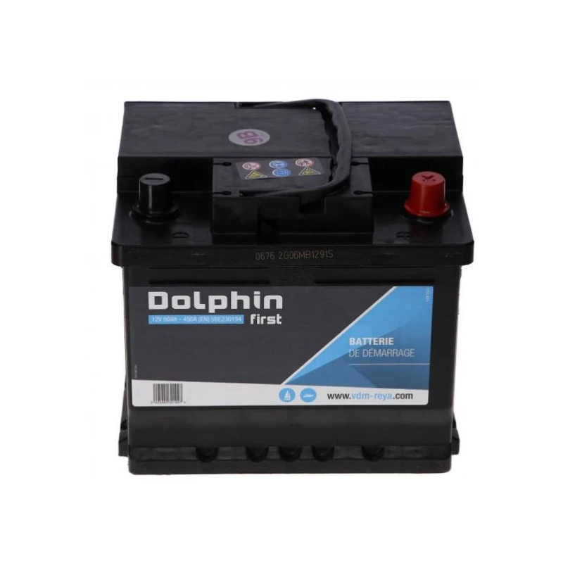 DOLPHIN First Batterie Calcium 50 Ah 2 DOLPHIN First Batterie Calcium 50 Ah – Image 2