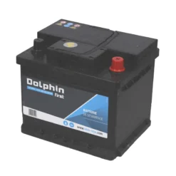 DOLPHIN First Batterie Calcium 50 Ah