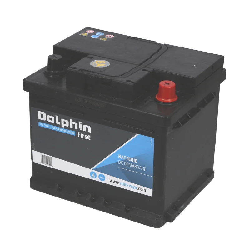DOLPHIN First Batterie Calcium 50 Ah 1 DOLPHIN First Batterie Calcium 50 Ah