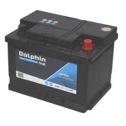 DOLPHIN First Batterie Calcium 60 Ah