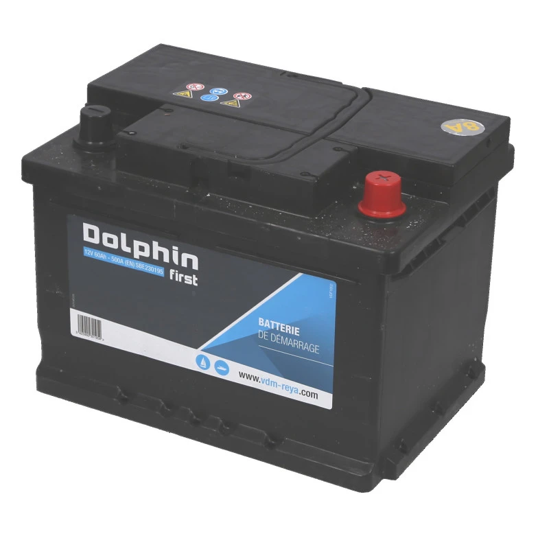 DOLPHIN First Batterie Calcium 60 Ah 1 DOLPHIN First Batterie Calcium 60 Ah