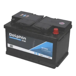 DOLPHIN First Batterie Calcium 70 Ah